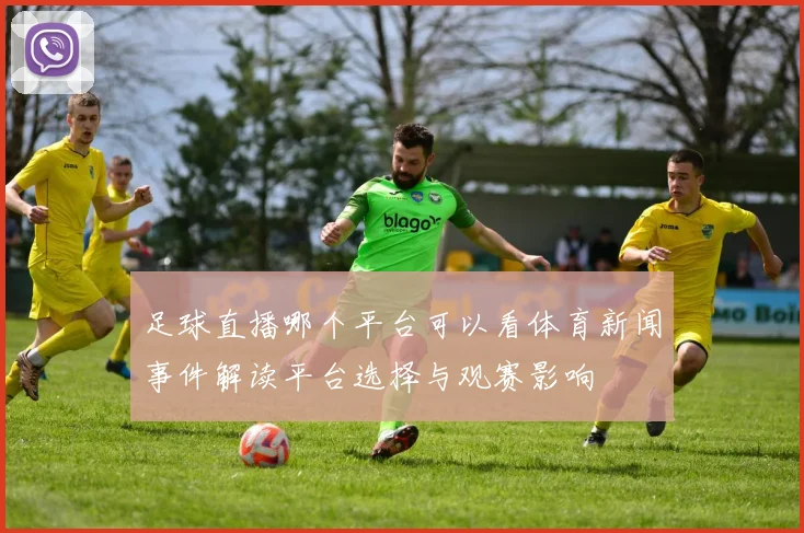 足球直播哪个平台可以看体育新闻事件解读平台选择与观赛影响